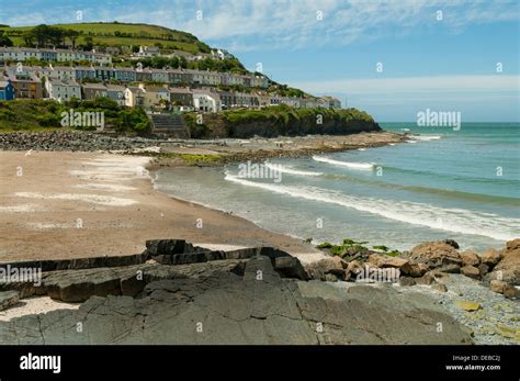 Beach at New Quay, Ceredigion, Wales Stock Photo - Alamy