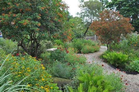 Butterfly Garden - Mounts Botanical Garden | Butterfly garden, Florida gardening, Garden projects