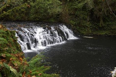 Beaver Falls Trailhead - Hiking in Portland, Oregon and Washington