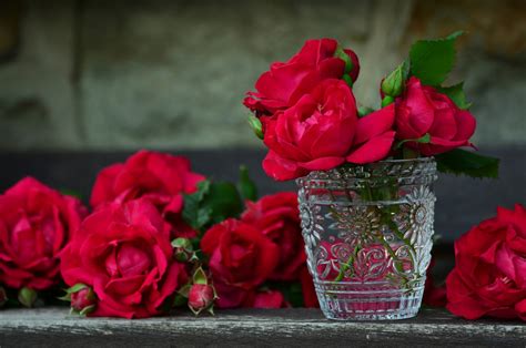 Bouquet Of Roses, Vase, Crystal Free Stock Photo - Public Domain Pictures