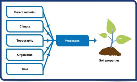 Factors that influence soil formation in Indian Conditions | PMF IAS