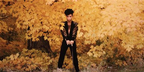 The Top 10 Prince Albums You’ve Never Heard Of. - Craig Walmsley - Medium