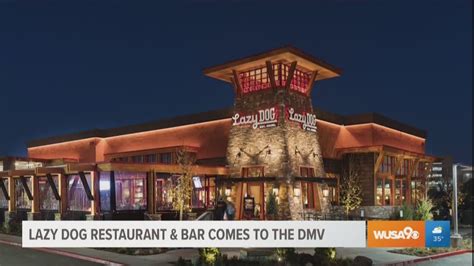 Lazy Dog Restaurant and Bar comes to Chantilly | wusa9.com