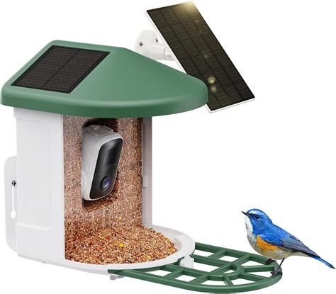 HARYMOR Bird Feeder with Camera, Auto Capture Bird Videos & Notify When Detect Birds, AI ...