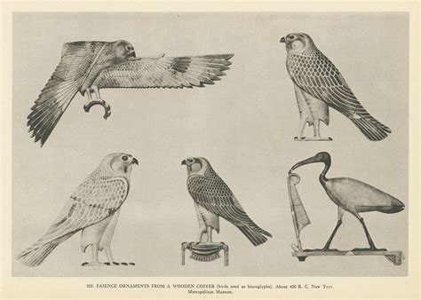 Egyptian Birds Used In Hieroglyphics. About 400 B.C. Now at the New York Metropolitan Museum ...