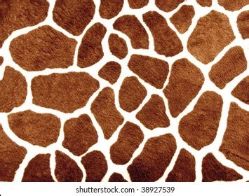 Giraffe Spots Stock Photo 51470251 | Shutterstock