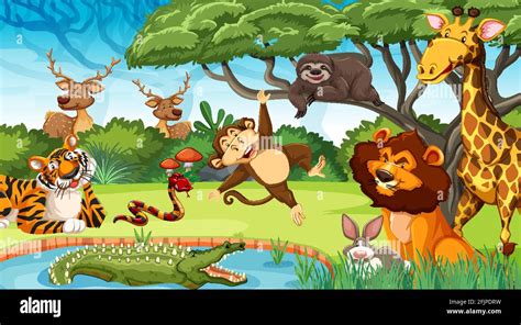 Wild animals in the jungle illustration Stock Vector Image & Art - Alamy