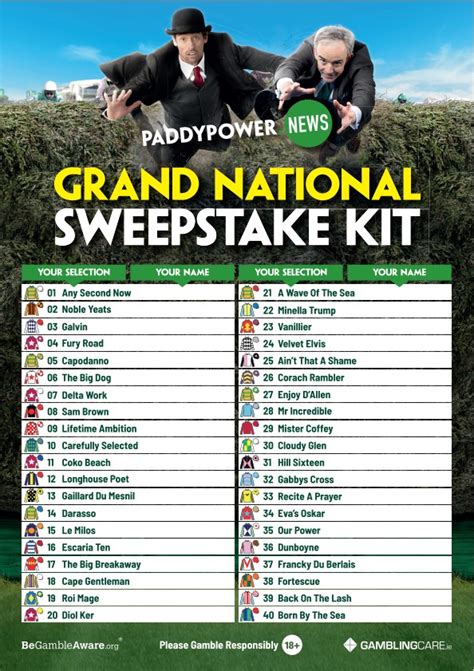 Grand National Sweepstake Kit: Paddy's online AND print packs