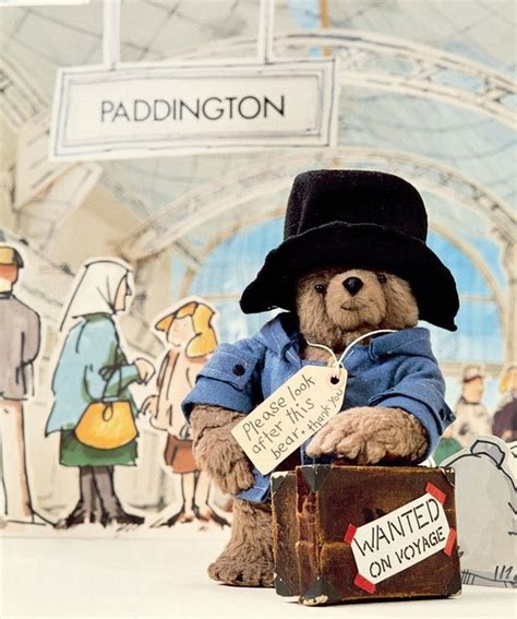 The REAL inspiration behind Paddington Bear | Paddington bear, Bear, Paddington