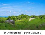 Defense of Verdun in World War I image - Free stock photo - Public Domain photo - CC0 Images