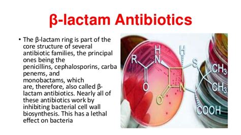 Beta-lactam antibiotics: Penicillin, Cephalosporin, Monobactam ...