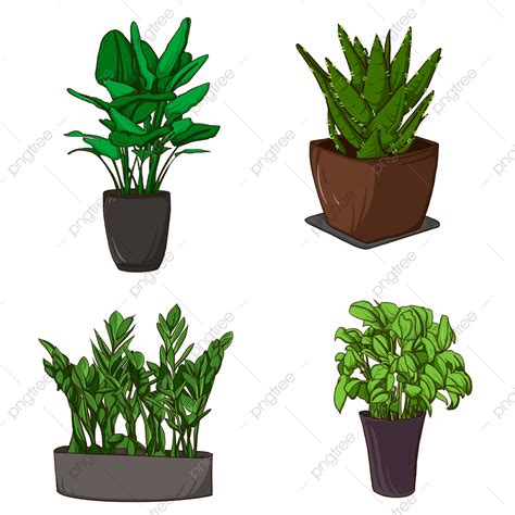Indoor Plants Clipart PNG Images, Indoor Green Plants Clipart, Indoor, Green Plants, Clipart PNG ...