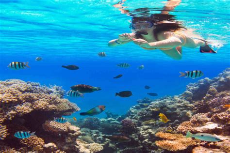 11 TOP Molokini Snorkel Tours (On Catamarans, Yatchs & More)