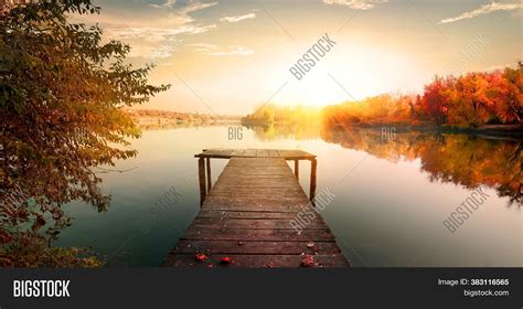 Forest Sunrise Misty Image & Photo (Free Trial) | Bigstock