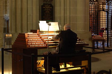 Organist - Wikipedia