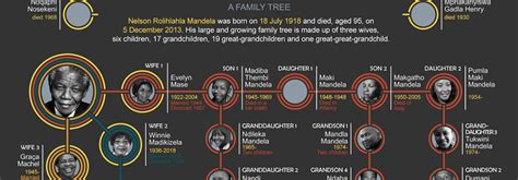 Nelson Mandela family tree infographic - South Africa Gateway