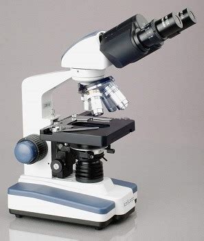 5 Most Powerful & Strongest Microscope Picks In 2022 Reviews