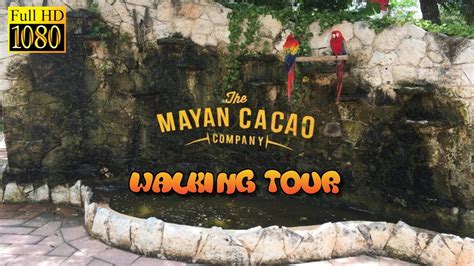 The Mayan Cacao Factory in Cozumel, Mexico - Travel Tour & VLOG Review - Great Cruise Excursion ...