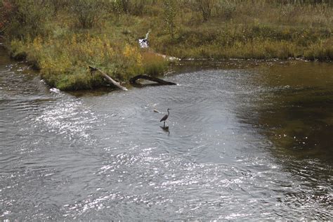 Manistee River Trail on Behance