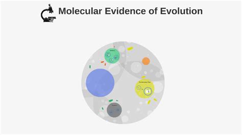 Molecular Evidence of Evolution by AP Biology on Prezi