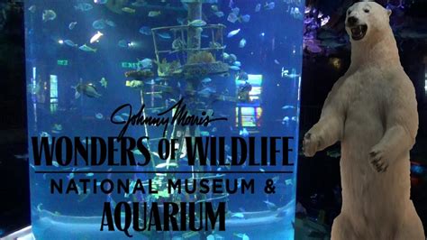 Bass Pro Wonders Of Wildlife Museum And Aquarium - Aquarium Views