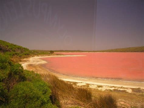 Lake Hillier: The Pink Lake in Australia - Snow Addiction - News about Mountains, Ski, Snowboard ...