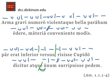 Elegiac Couplet 2 | Language, latin, scansion | ShowMe