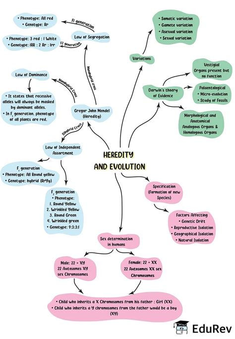 Mindmap: Heredity & Evolution Notes | Study Science Class 10 - Class 10