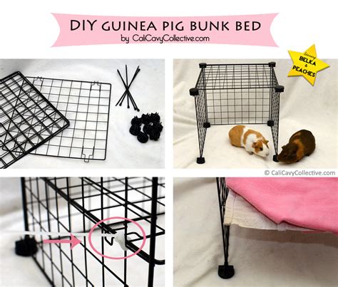 Pin on Guinea pig cage designs