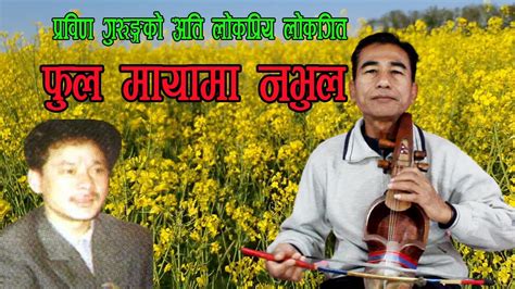 Very Popular Lok Song "Fula Mayama Nabhula" | Prabin Gurung Song | Sarangi Song | Cover by Dhana ...