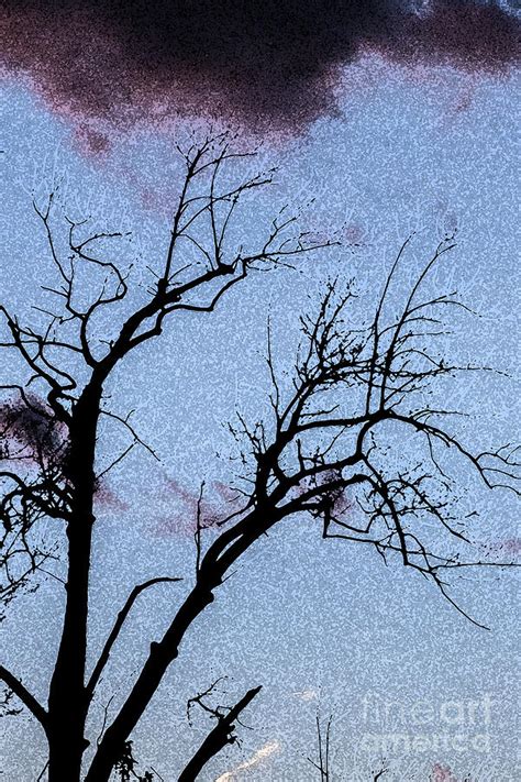 Watercolor Tree Silhouette Photograph by Darleen Stry - Fine Art America