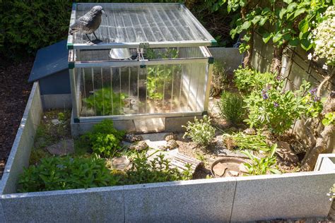 Pin by ROOF on Torties | Russian tortoise, Tortoise habitat, Tortoise ...