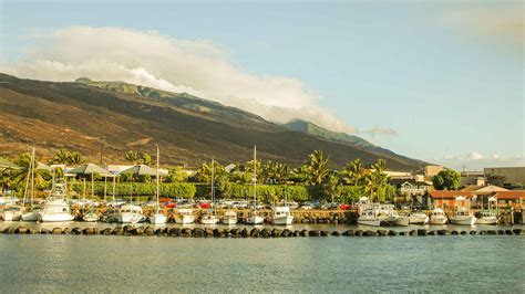 Maalaea Harbor, Maalaea - Book Tickets & Tours | GetYourGuide