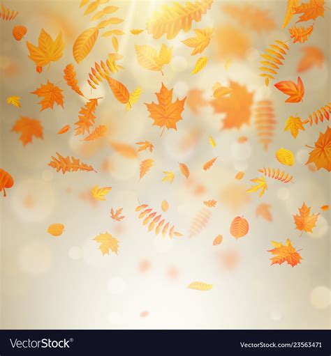 Abstract autumn banner template with colorful Vector Image