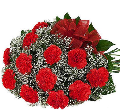 12 Red Carnations Bouquet #BQ4AA • Canada Flowers