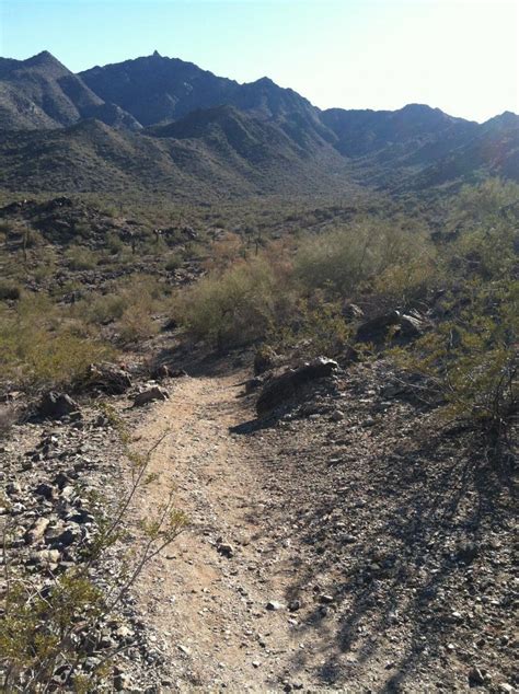 Estrella Mountain Park Mountain Bike Trail in Phoenix, Arizona || SINGLETRACKS.COM