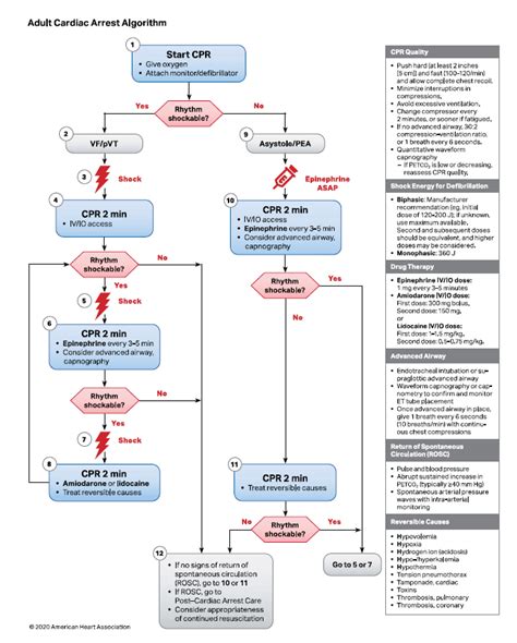 Torsades De Pointes Acls Algorithm