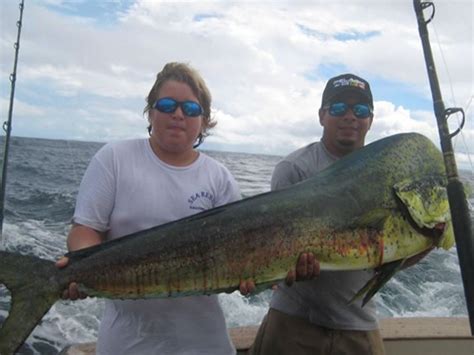 Dorado Fishing In Costa Rica | MahiMahi Dolphinfish Fishing | Costa Rica Sportfishing Tours ...