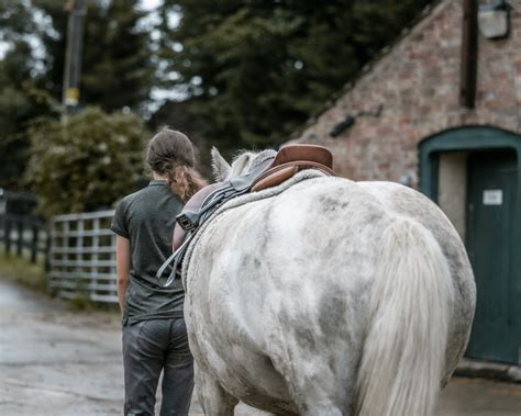 The Tumpy Green Equestrian Centre Photoshoot — Reflex Image Photography ...