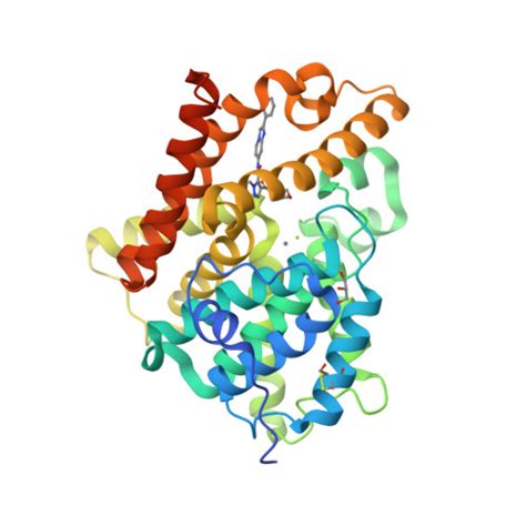 RCSB PDB - 5SK5: CRYSTAL STRUCTURE OF HUMAN PHOSPHODIESTERASE 10 IN ...