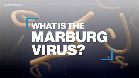 What is the Marburg virus disease? - Good Morning America