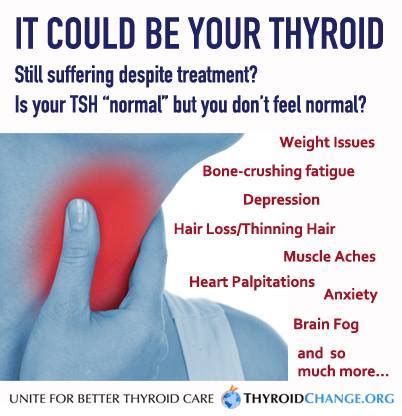 A personal story of the pain and anguish of thyroid disease — hoping to ...