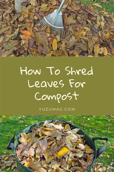 How To Shred Leaves For Compost [7 Quick & Easy Ways] | Yuzu Magazine | Compost, Composting ...