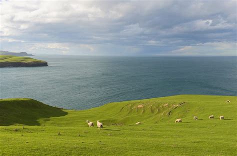 Otago Peninsula travel | New Zealand, Australia & Pacific - Lonely Planet