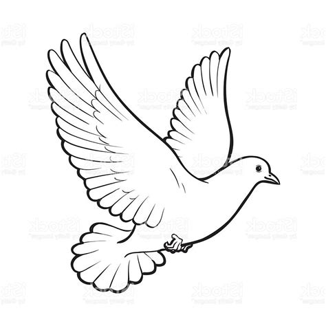 Dove In Flight Drawing at GetDrawings | Free download