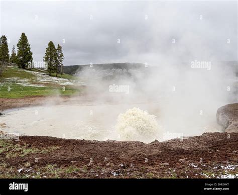 Mud pot in the mud volcano area of Yellowstone National Park, Wyoming ...