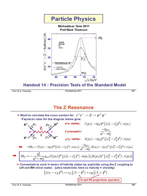 Particle Physics: The Z Resonance | PDF | Standard Model | Higgs Boson