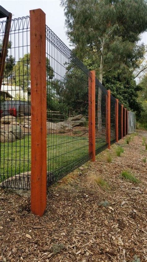 DIY Dog Fence Ideas and Installation Tips: 6 Best Cheap Designs