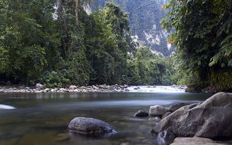 Gunung Mulu National Park Malaysia, Travel Guide, History, Photos