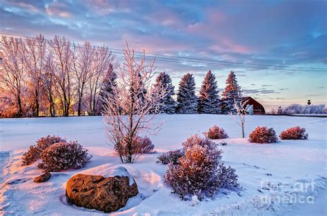 Winter landscape in Saskatchewan Photograph by Viktor Birkus - Fine Art ...